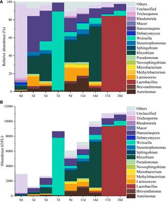 Microbial succession and its correlation with the dynamics of volatile compounds involved in fermented minced peppers